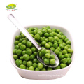 China Bulk Wholesale Distribute IQF frozen green peas